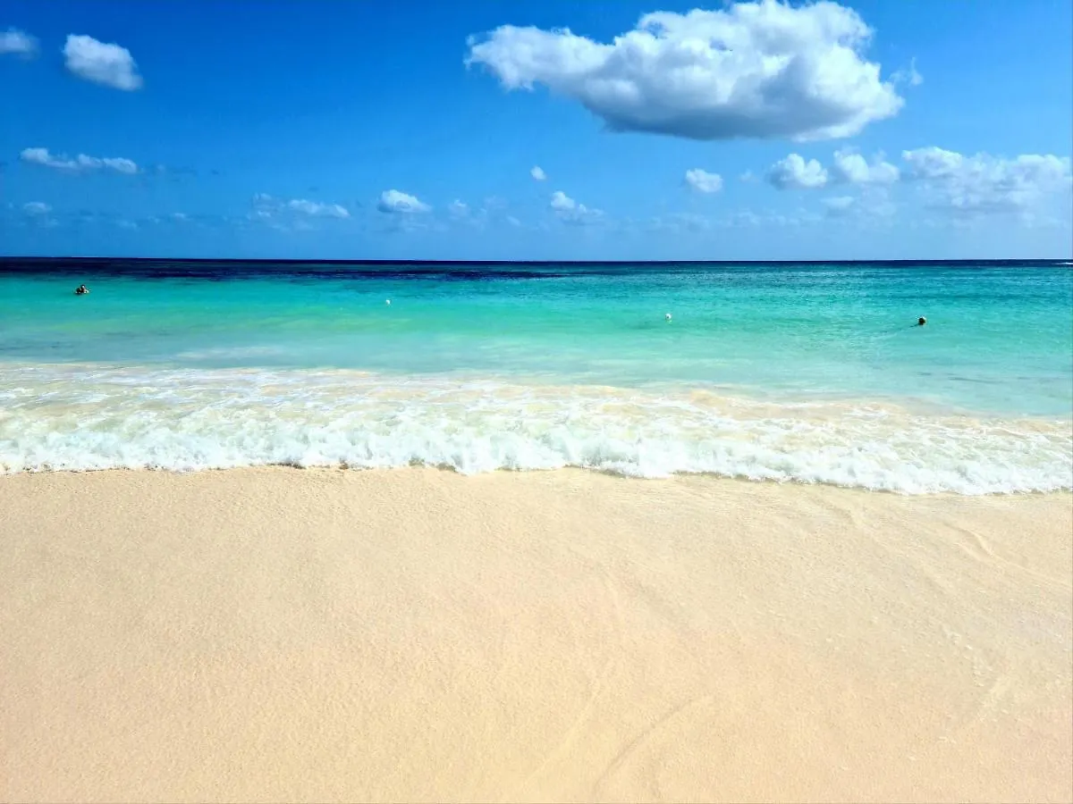 פלאייה דל כרמן Ubicacion Inmejorable A Pasos De Playacar Beach Y 5Ta Av דירה