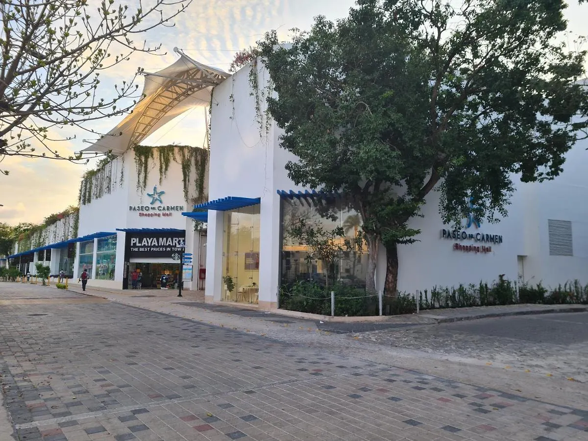 Ubicacion Inmejorable A Pasos De Playacar Beach Y 5Ta Av 신데 델 카르멘 아파트