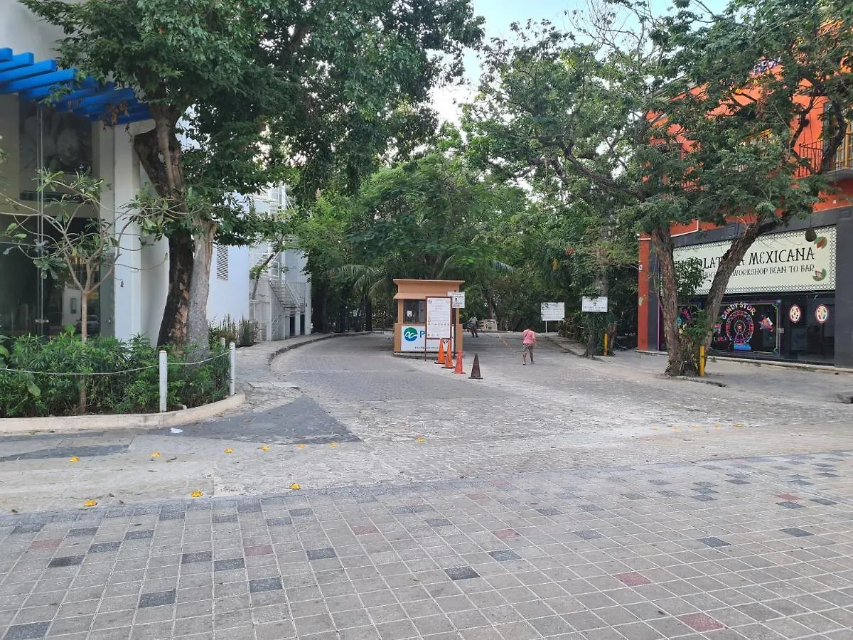 Ubicacion Inmejorable A Pasos De Playacar Beach Y 5Ta Av Apartment Playa del Carmen Mexico